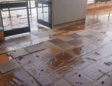 Χάος στη Λαμία: Πλημμύρισαν αίθουσες σε δημοτικό σχολείο - Τι καταγγέλλουν οι γονείς